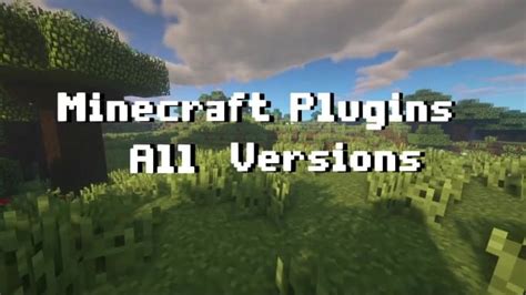 Image result for java plugin minecraft