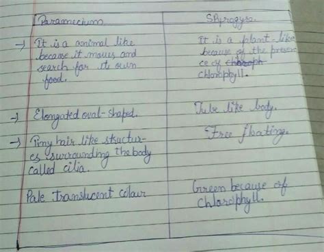 List five structural differences between spirogyra and paramecium ...