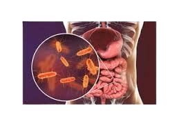 Best Doctor for Diarrhea Treatment, Loose Motions. Dr Jayant Barve