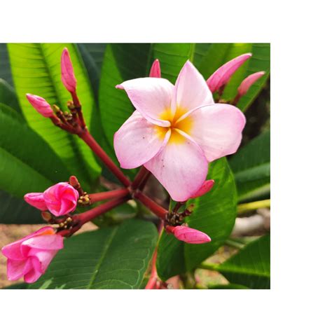 Image result for Java How to Make a Class