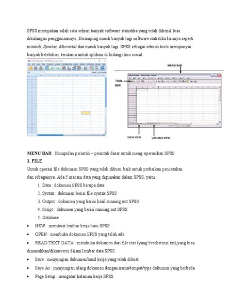 Image result for SPSS Output File