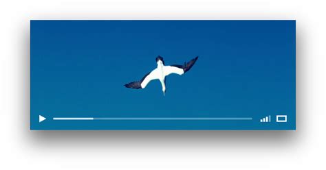 JavaScript Vode 的图像结果