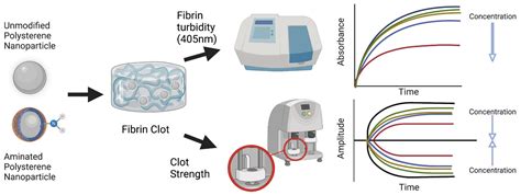 Microplastic Effects on Thrombin–Fibrinogen Clotting Dynamics Measured ...