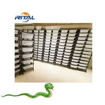 Image result for Ball Python Snake Rack Build