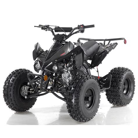 125cc ATV Quad Youth 4 Wheeler Adults ATVs Quads Middle Size 4 Wheelers ...