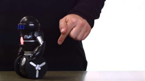 Mar MIP Tutorial 的图像结果