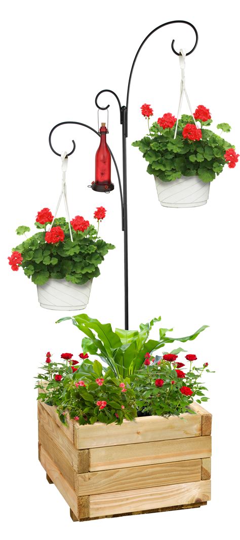 Hanging Basket Plant Stand - Plant Ideas