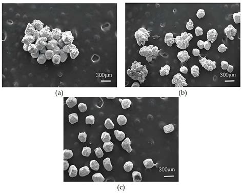 Investigation into Ultrasonic Oscillation-Assisted Nickel ...