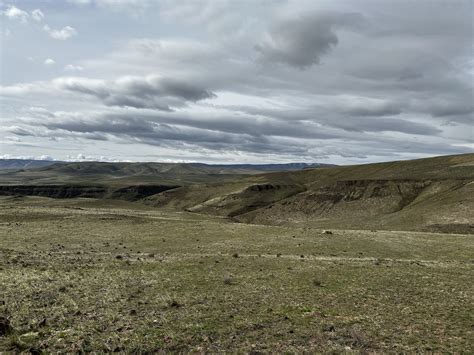 Trees of Stone Trail Vantage Wa. 2023 - Sundown M Ranch