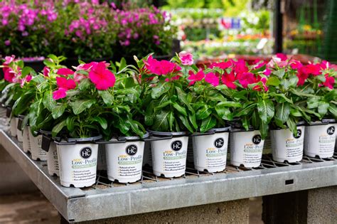 Low-Profile Tray | The HC Companies