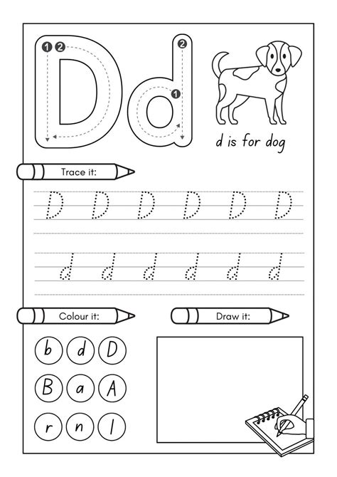 Letter D Activities for Toddler, Preschool & Kindergarten Printable PDF