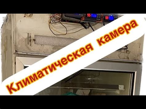 Климатическая камера своими руками из витринного холодильника - YouTube
