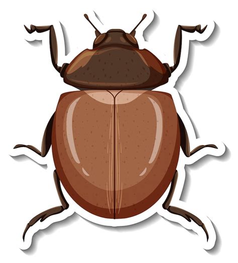 Beetle svg Images - Free Download on Freepik