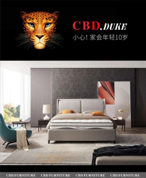 载誉前行！CBD家居喜获“2020中国消费者信赖十大家具品牌”称号