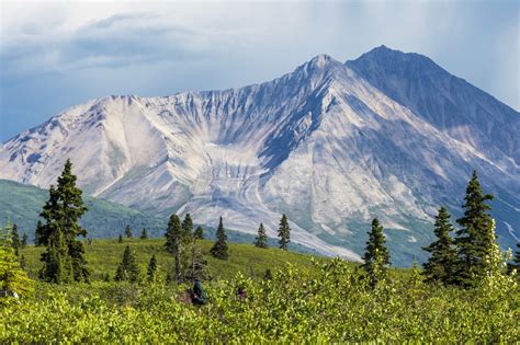 アラスカ 州 シャチ に対する画像結果