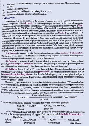 Oxidation Of Carbohydrates ( Oxidative Decarboxylation) - Bsc Nursing ...
