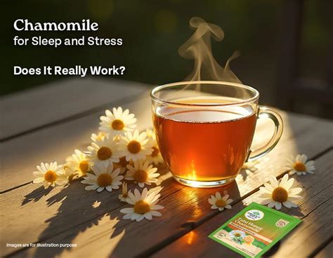 Organic Chamomile Tea for Sleep and Stress Relief – Organic India