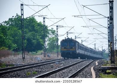 Demu Local Train 的图像结果