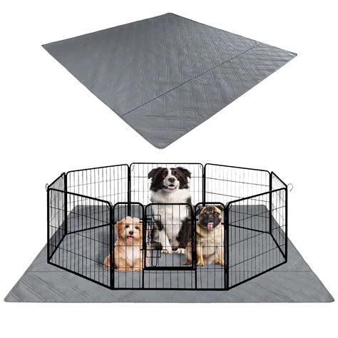 Why A Dog Pees On Your Bed