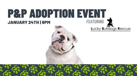 Adoption Event: Lucky Bulldogs Rescue , Paws and Pints, Des Moines ...