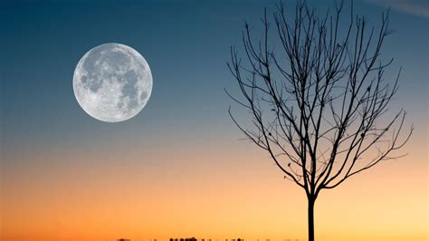 All about the full hunter's moon of October and its effects on zodiacs
