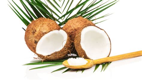椰子进口持续高速增长，泰国椰子保持领先 | 国际果蔬报道