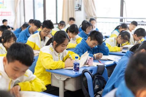 2022赣州厚德外国语学校录取分数线（2023参考）