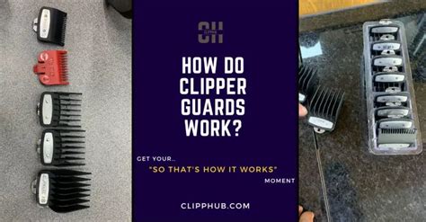 How to Use Clipper Guards 的图像结果