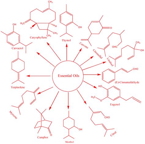 Current Trends in the Utilization of Essential Oils for Polysaccharide ...
