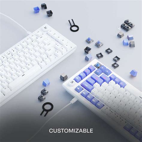 Kreo Hive RGB 75% Wired Mechanical Gaming Keyboard, Hot Swappable, Anti ...