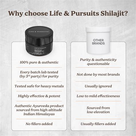 Pure Himalayan Shilajit Resin, 30 gm – Life & Pursuits