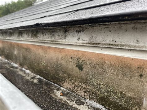 Fix Dripping Gutters 的图像结果