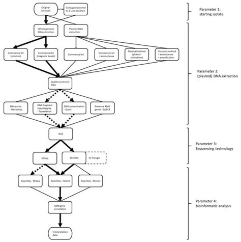 Development of an NGS-Based Workflow for Improved Monitoring of ...