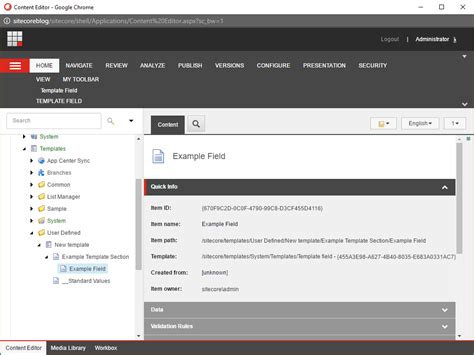 Image result for Sitecore CMS with Spring Boot