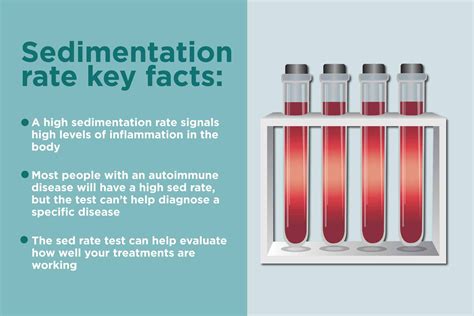Erythrocyte Sedimentation Rate (ESR) Test: Normal Range, High Levels ...