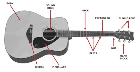 Parts Of An Guitar Quiz at Eric Wendy blog - parts of a guitar