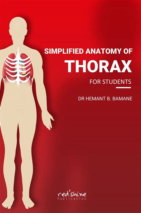 Simplified Anatomy Of Thorax For Students - Redshie Publication