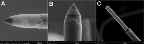 Biotelemetric Monitoring of Brain Neurochemistry in Conscious Rats ...