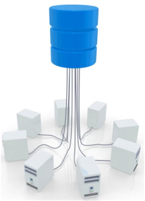 Open Access Database 的图像结果