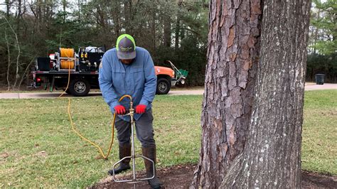 Deep Root Tree Gun 的图像结果