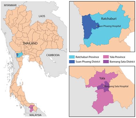 Low Genetic Diversity of Plasmodium vivax Circumsporozoite Surface ...