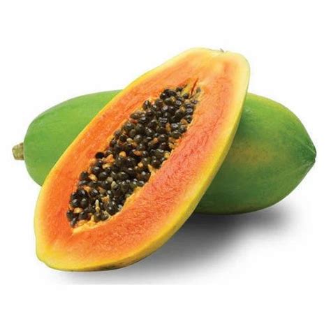 Herbal Extract - Safed Musli Extract Trader - Wholesaler / Distributor ...