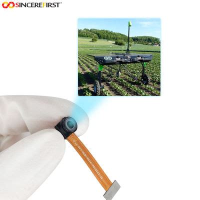 IR Camera Sensor 的图像结果