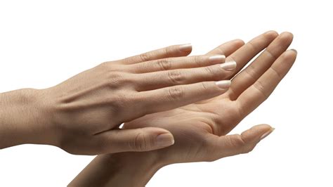 Image result for Wikia Search Clap