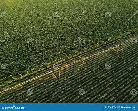 Aerial View of Irrigation Equipment Watering Green Soybean Crops Stock ...