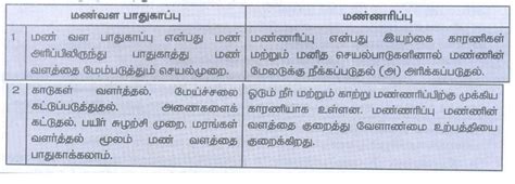 வினா விடை - பாறை மற்றும் மண் | அலகு 1 | புவியியல் | எட்டாம் வகுப்பு ...