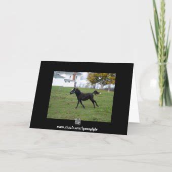 Happy Birthday Horses Card | Zazzle