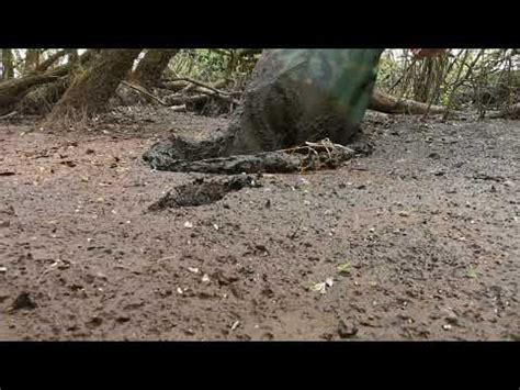 Image result for Waders in Mud Compilation