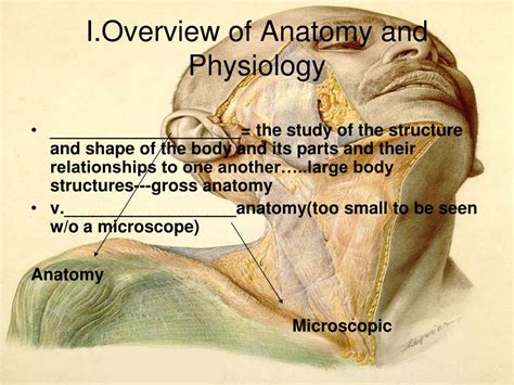 Biology Human Anatomy and Physiology 的图像结果