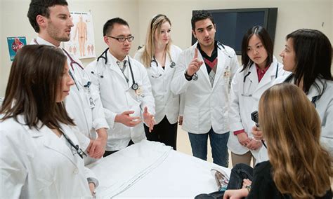 Paramedical Courses - Cms Ed Allopathy Diploma Course, DNYS, BEMS, MD AM